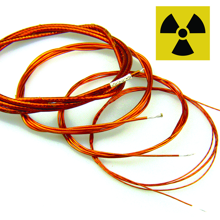 RADIATION RESISTANT KAPTON INSULATED WIRES